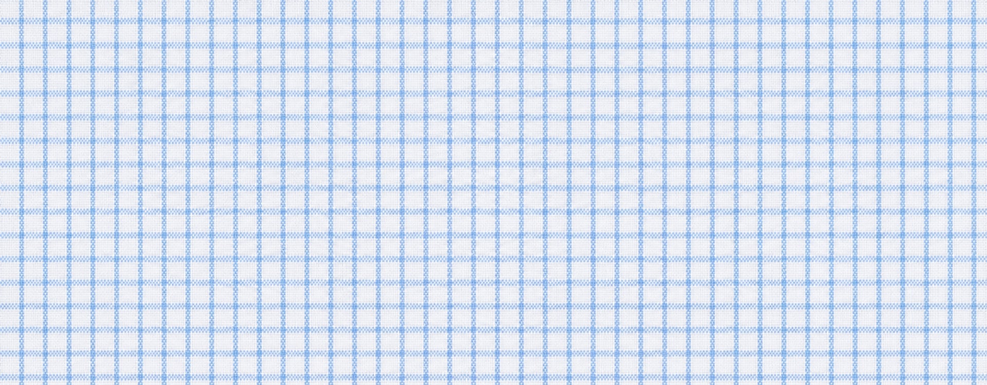 Blue Check - 100% cotton - Poplin