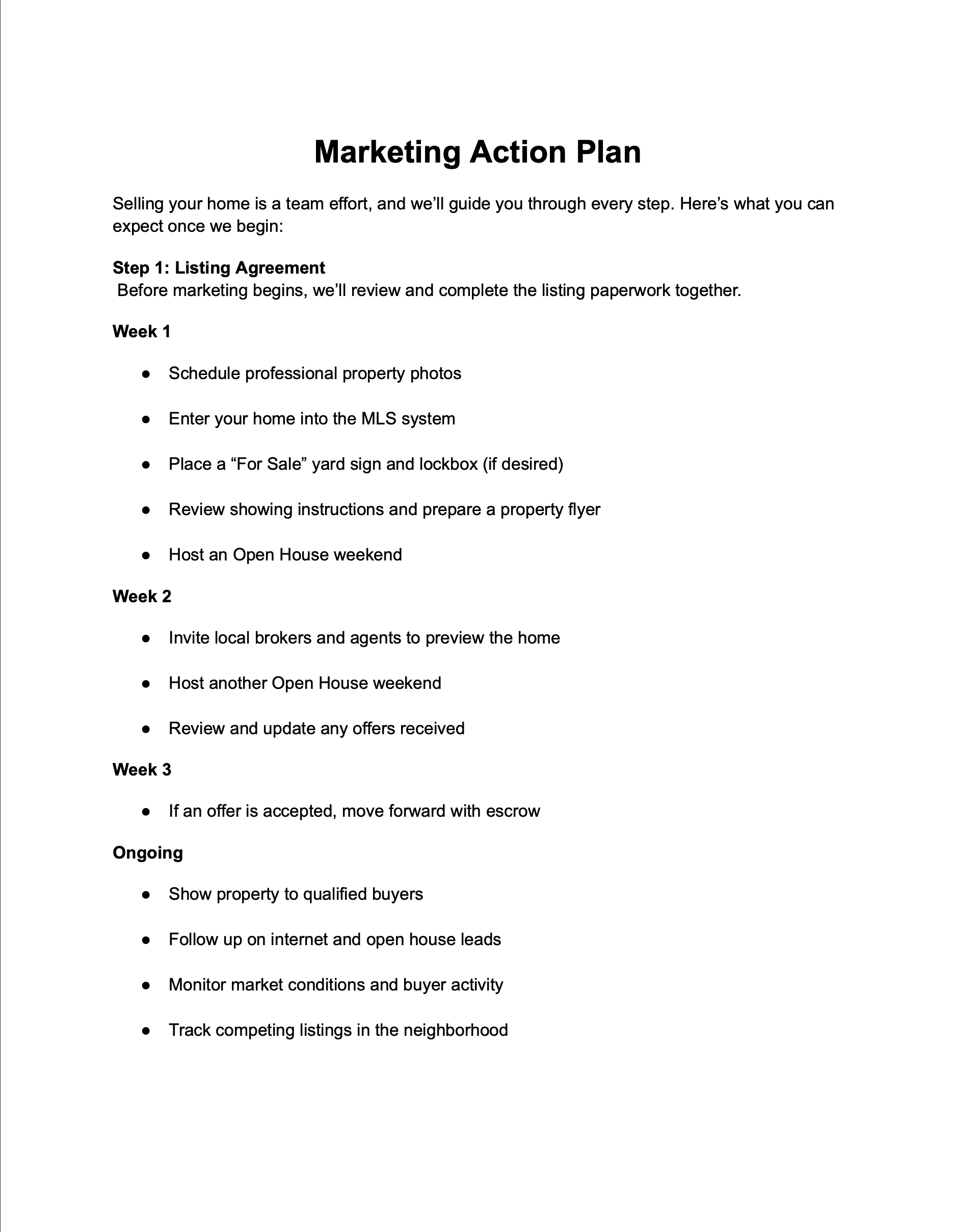 Marketing Action Plan PDF