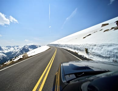 Go Rentals is an elite car rental service specializing in the private jet industry and luxury hotels.