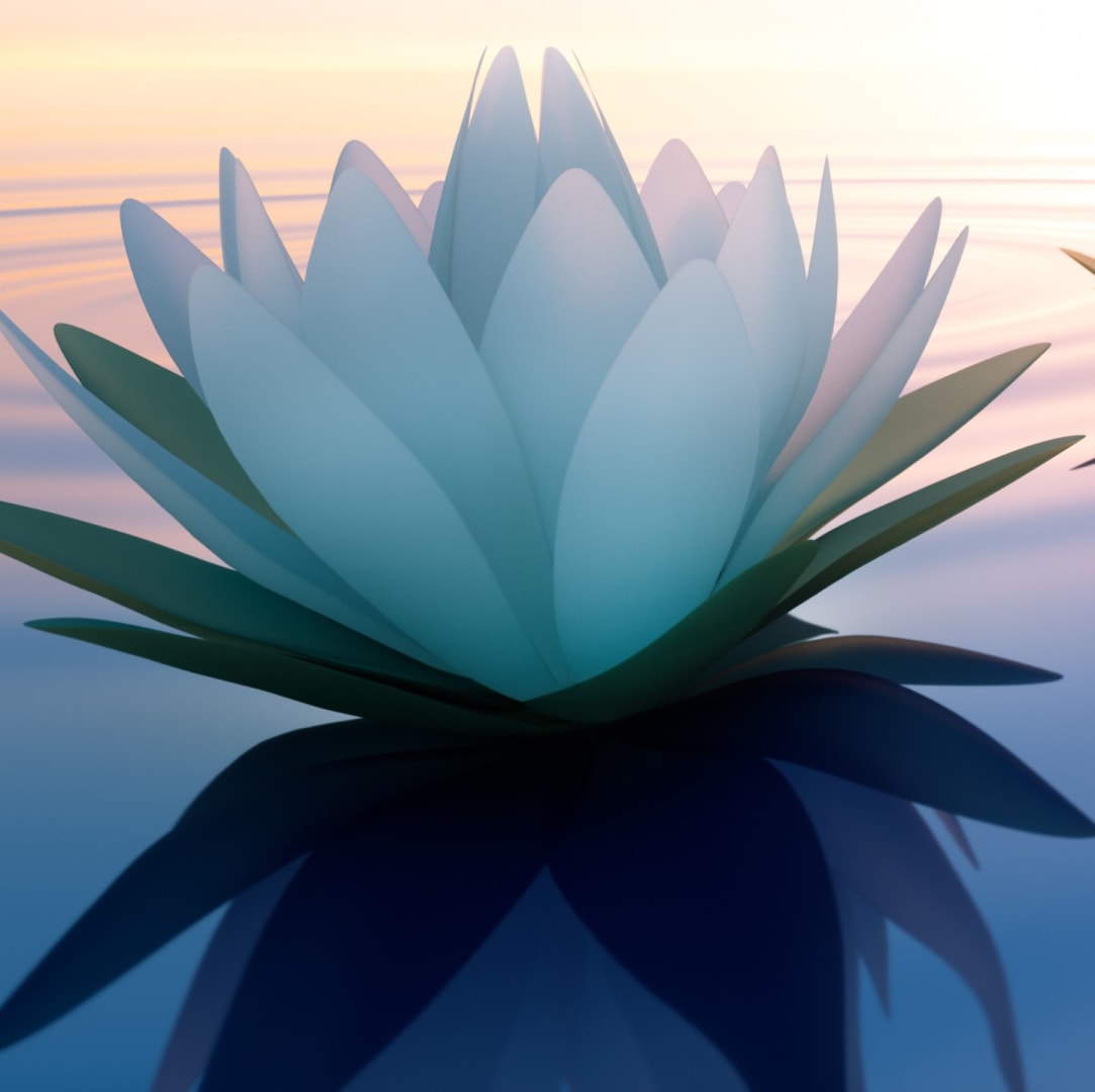 Two Rivers Body Sculpting Lotus flower floating atop shimmering water.