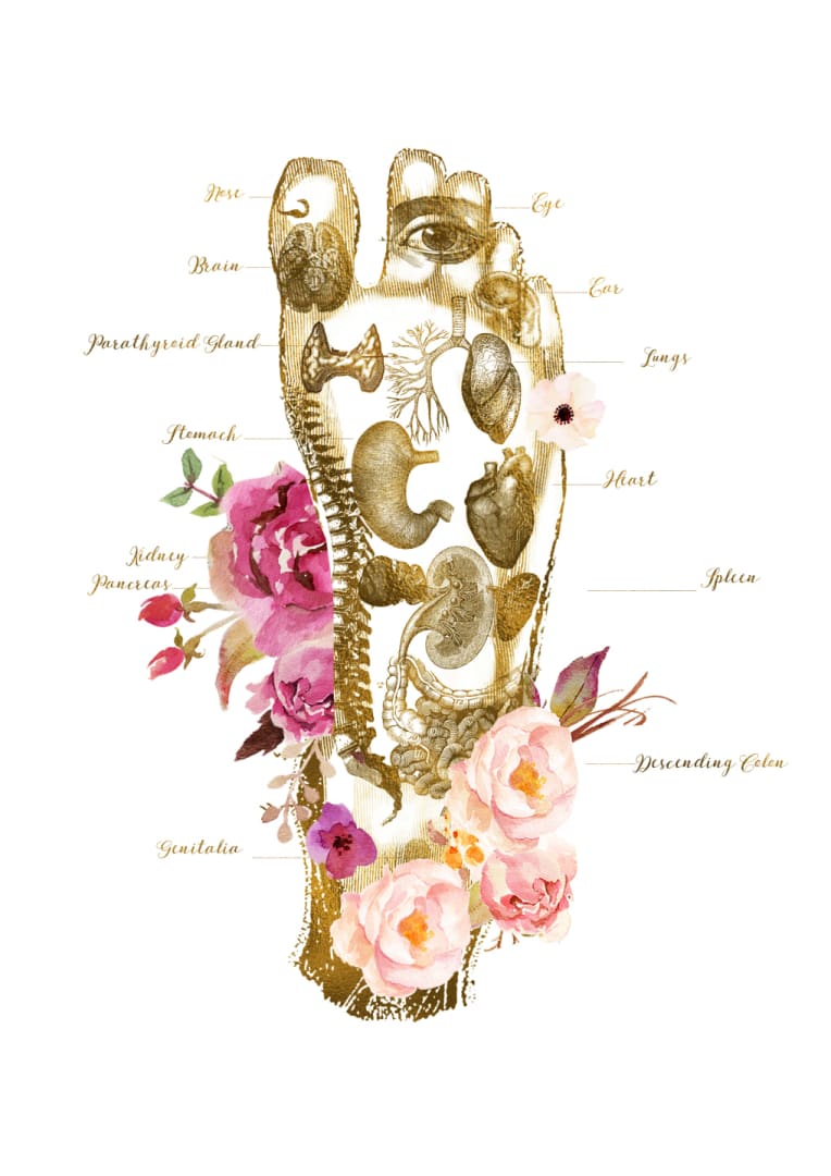 A digital print of a foot reflexology chart, also marketed as medical art or a massage therapist gift.