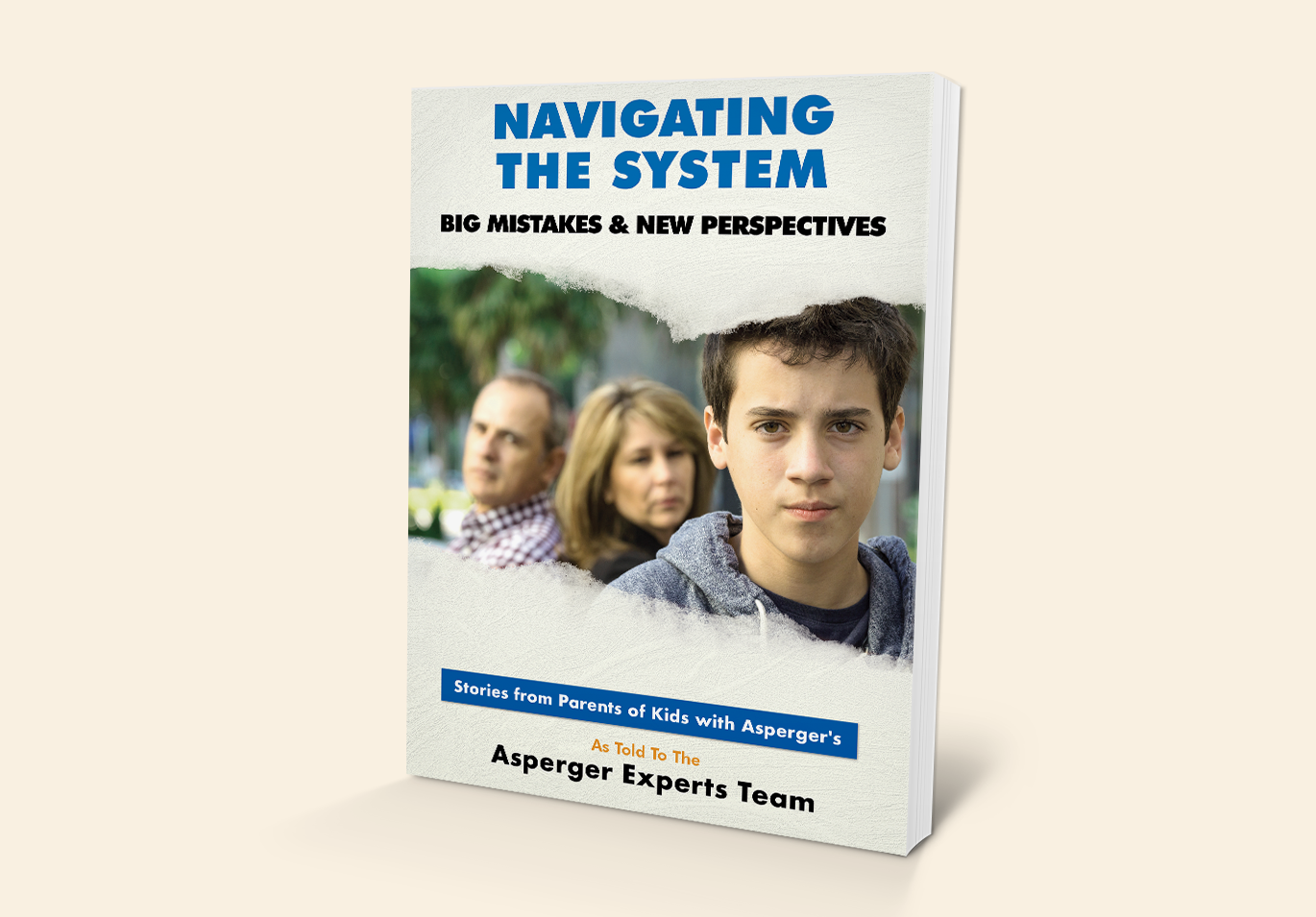 'Navigating The System: Big Mistakes & New Perspectives' paperback