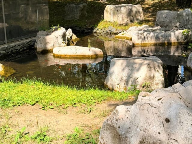 Китайский парк Хуамин
