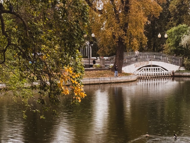 Парк Горького, Китайский мостик