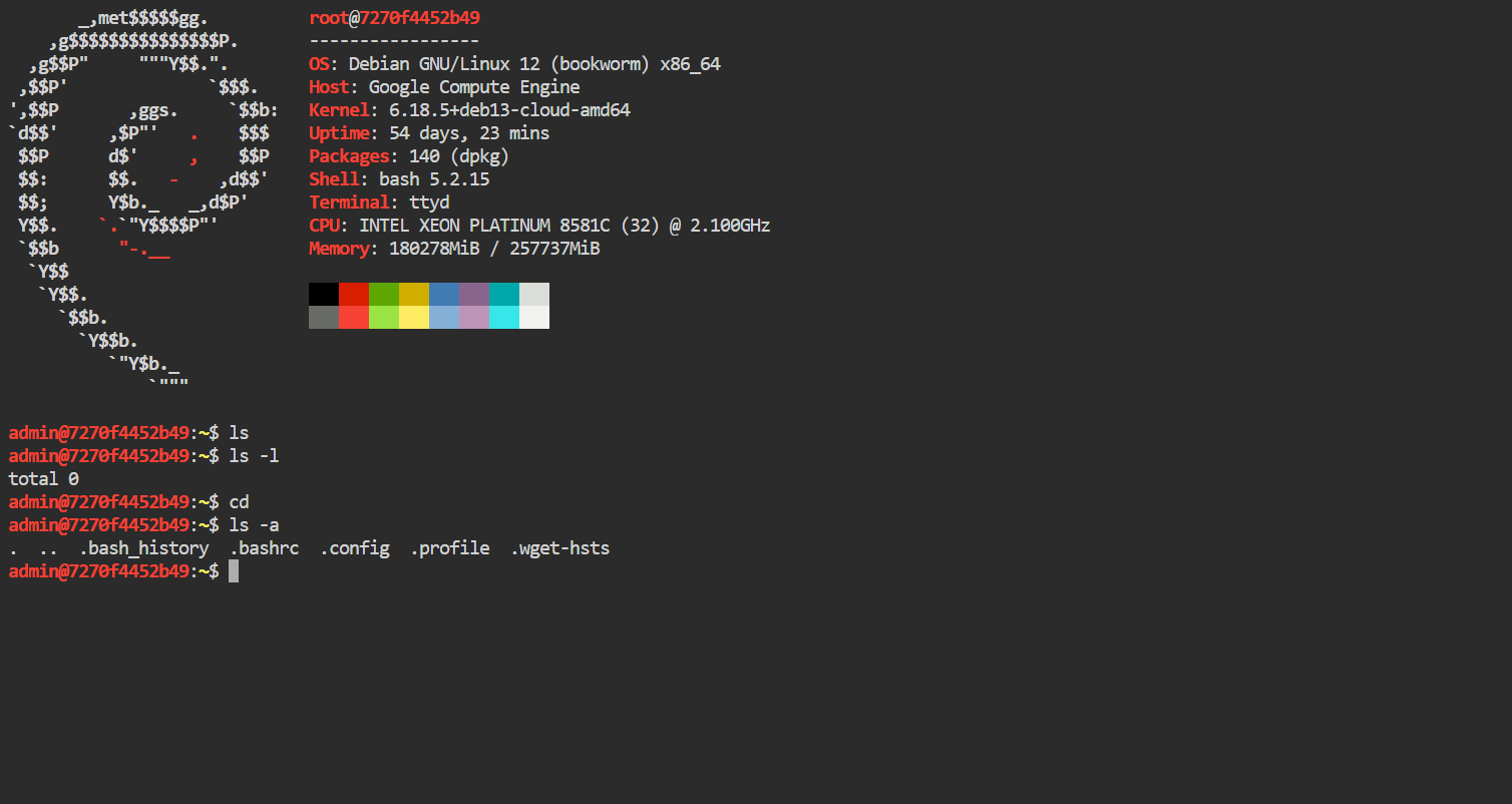 Debian Linux Web Terminal dashboard screenshot