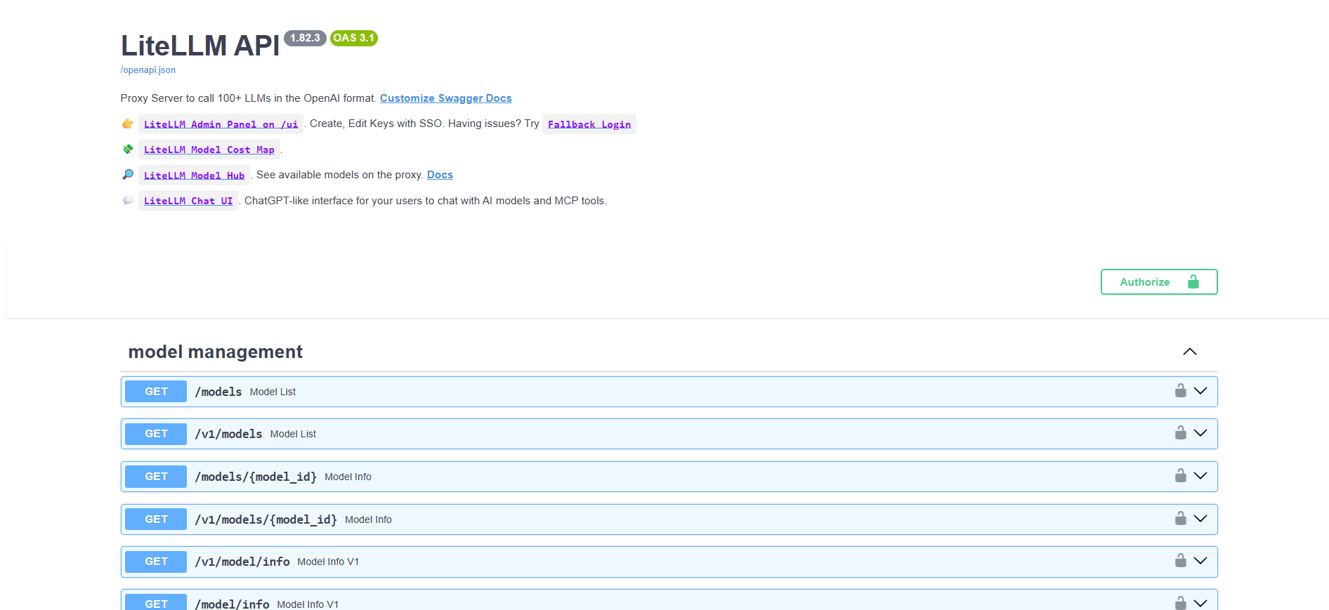 LiteLLM dashboard screenshot