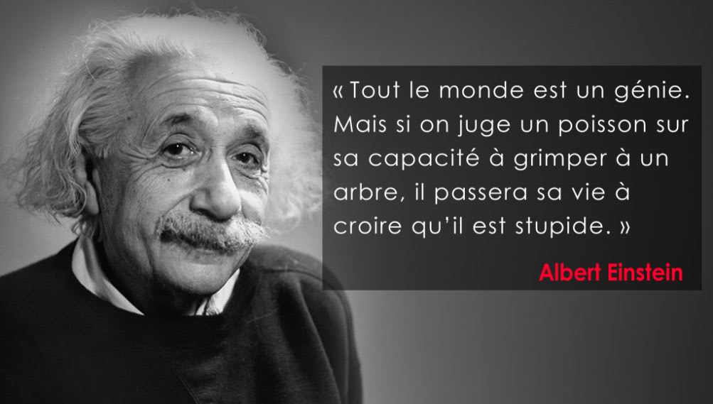 Tout Le Monde Est Un Genie Mais Si On Juge Un Poisson Explication