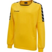 hmlAUTHENTIC KIDS TRAINING SWEAT