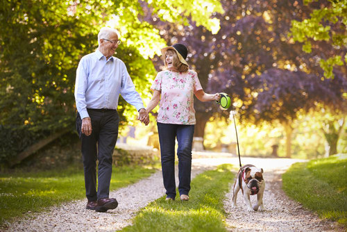 Elderly coiuple taking the dog for a walk