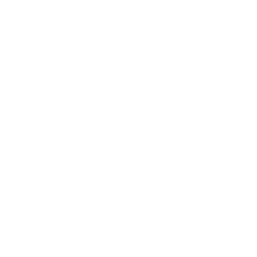 E-Commerce Website SEO Services in India