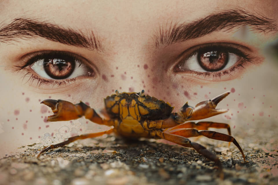 Cancer Rising Sign: Influence of this Ascendant on Personality