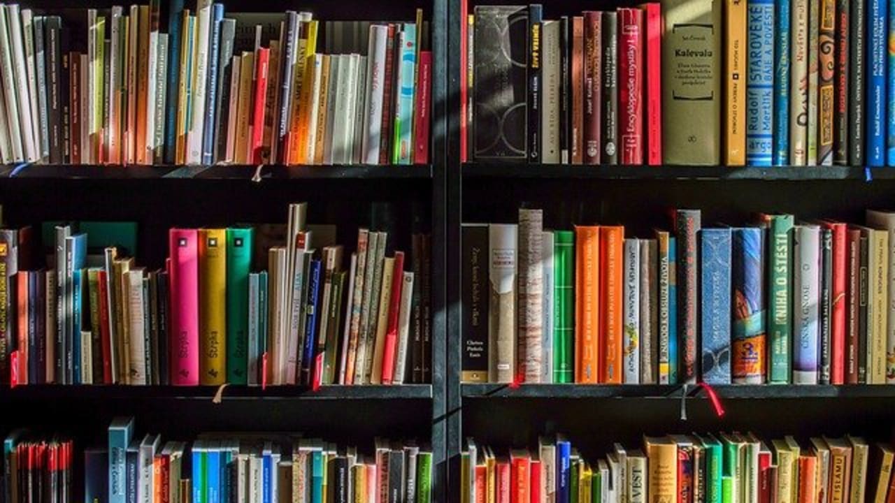 Estante com livros enfileirados