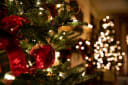 Boas Festas - Photo by Tessa Rampersad on Unsplash