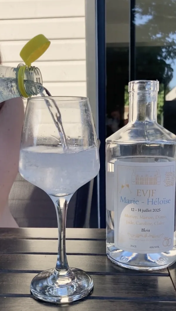 Photo de EVJF Juillet à Blois 2025 - Gin Spritz et Vin