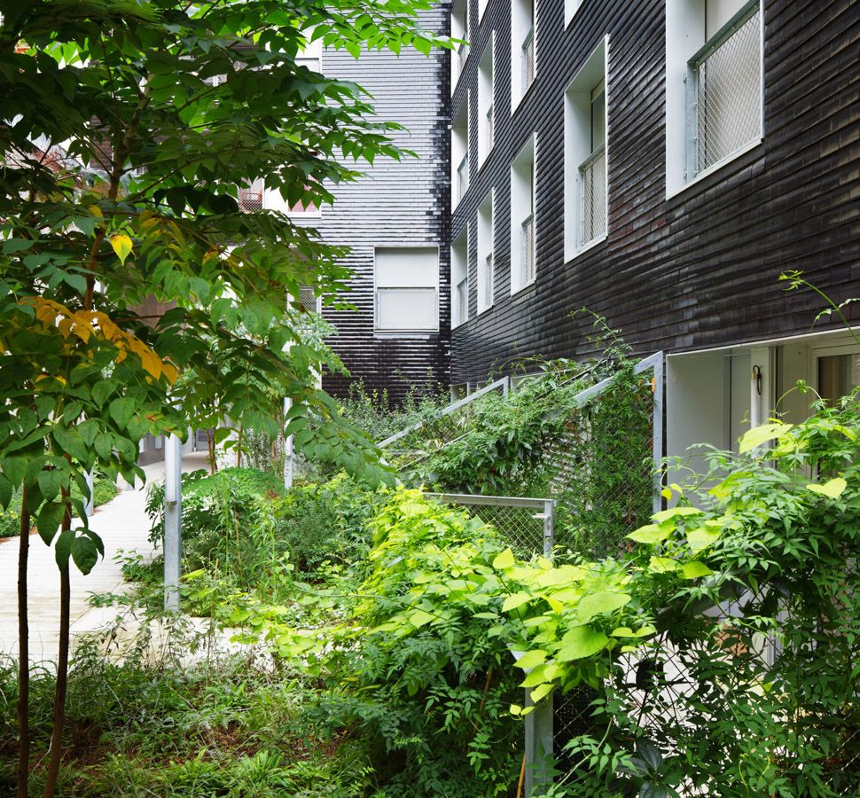 Architecture - Les gradins-jardins, logements sociaux à Paris - 01