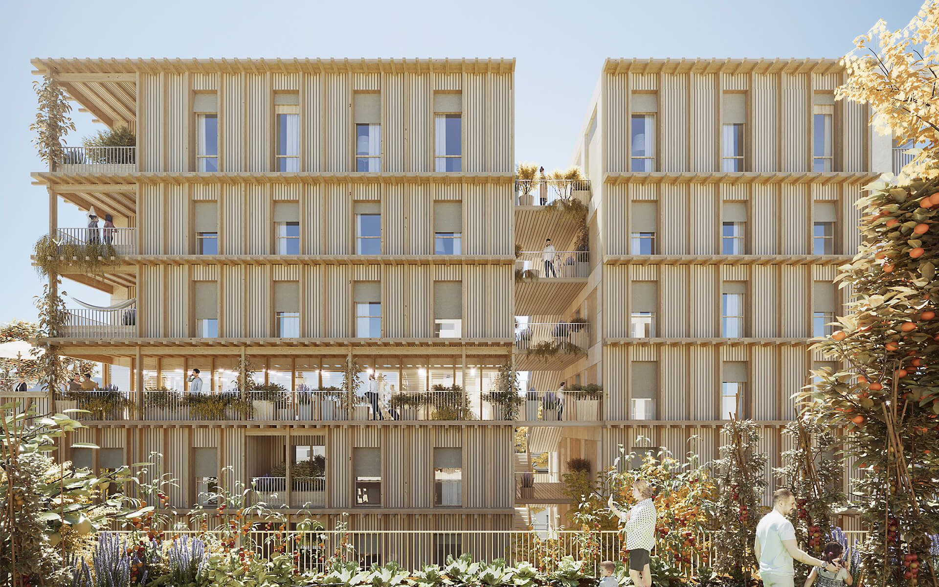 Architecture, Beaux voisins, Logements en bois et pierre massive à Lyon - 8