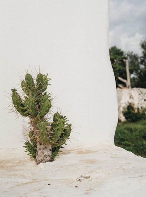 Atelier du Pont - Finca - Minorque