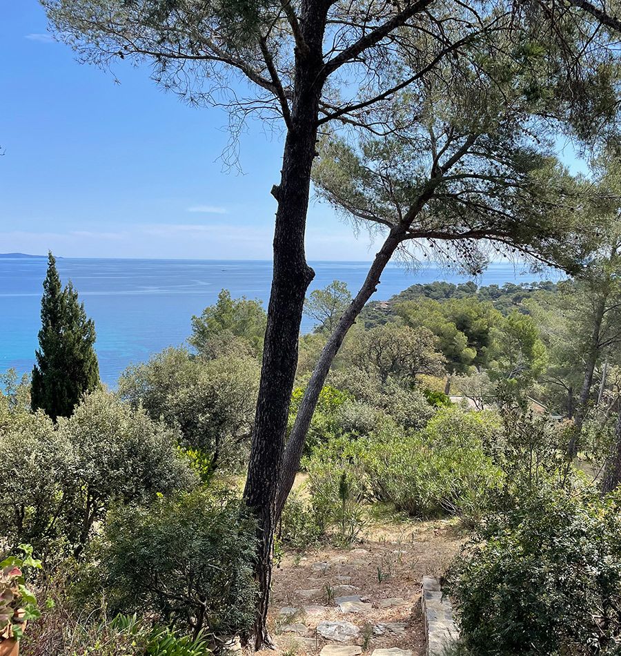 Atelier du Pont - Architecture intérieure - Domaine de Gaou Bénat - Komorebi, construction d'une maison - 03