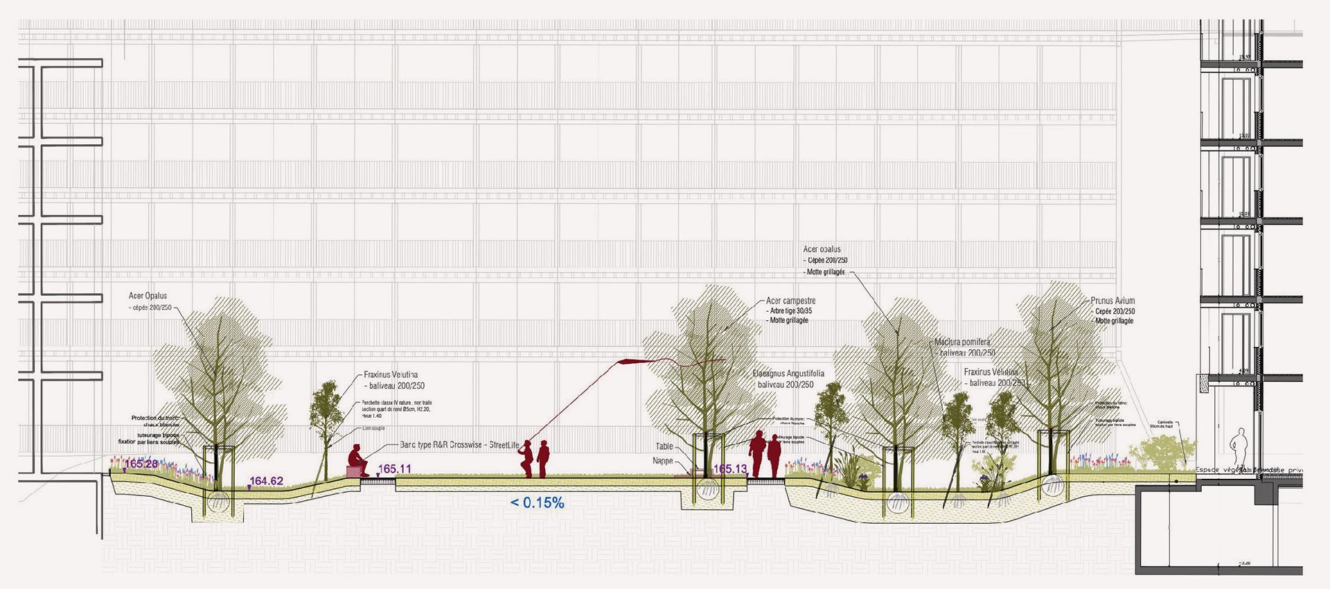 Architecture, Beaux voisins, Logements en bois et pierre massive à Lyon - 22