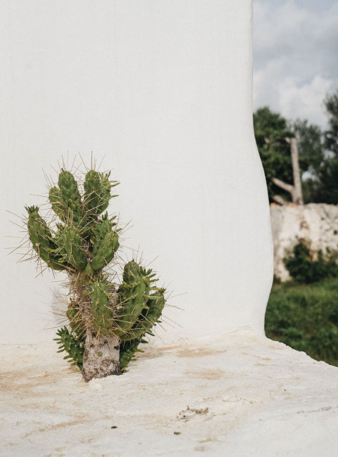 Atelier du Pont - Finca - Minorque