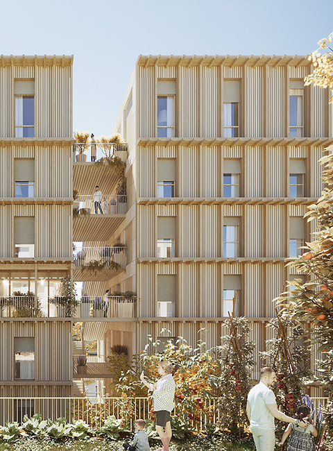 Atelier du Pont - Architecte - Logements en bois et pierre massive à Lyon 