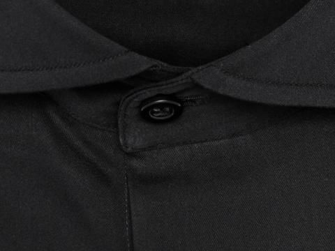 Plastron