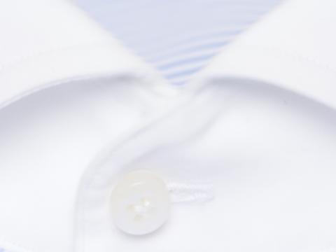Plastron