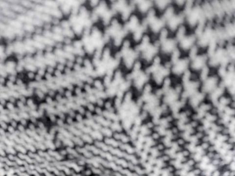 Plastron