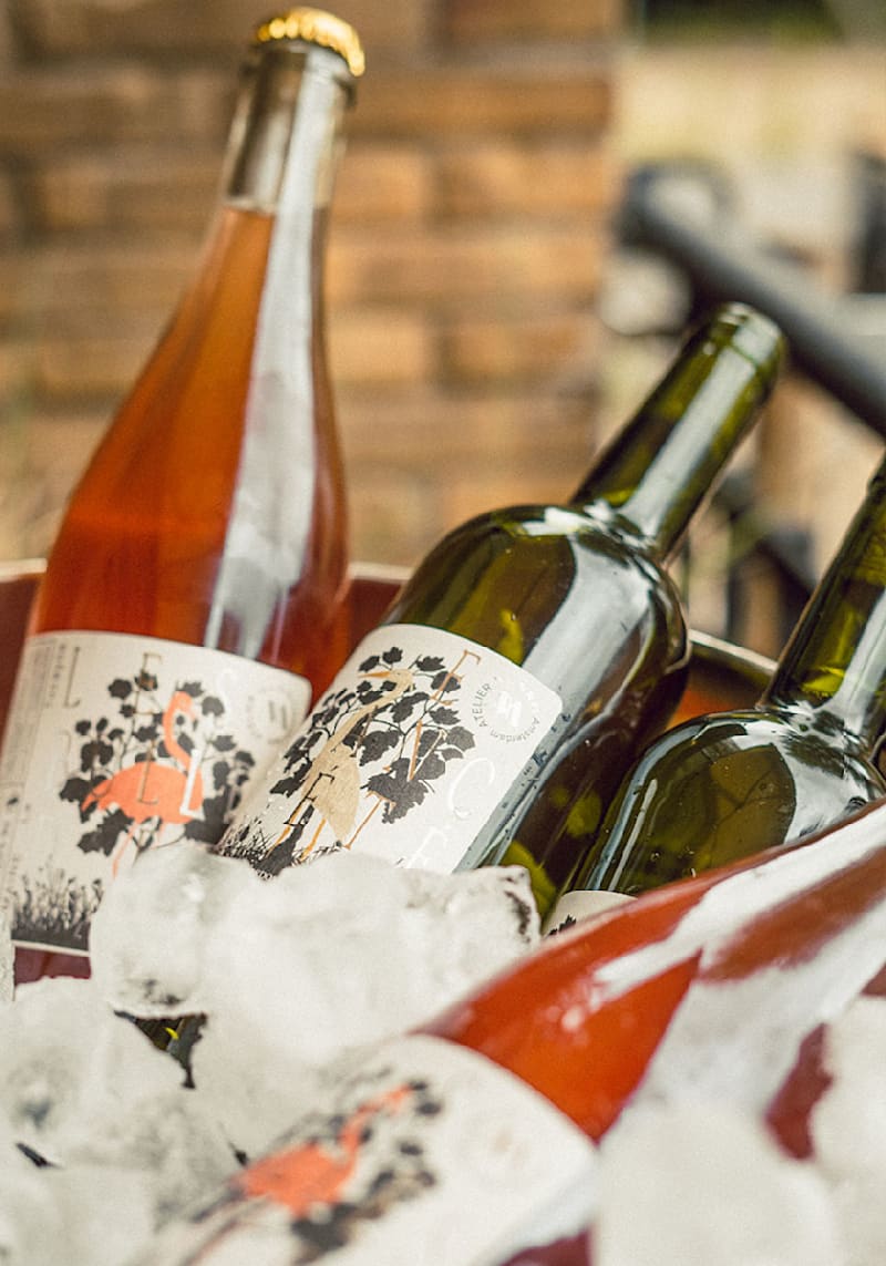 Introducing our new natural wines for summer