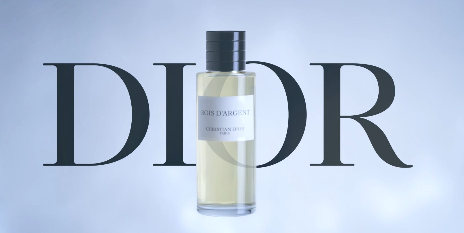 Bois d'Argent Dior — nouvelle direction visuelle