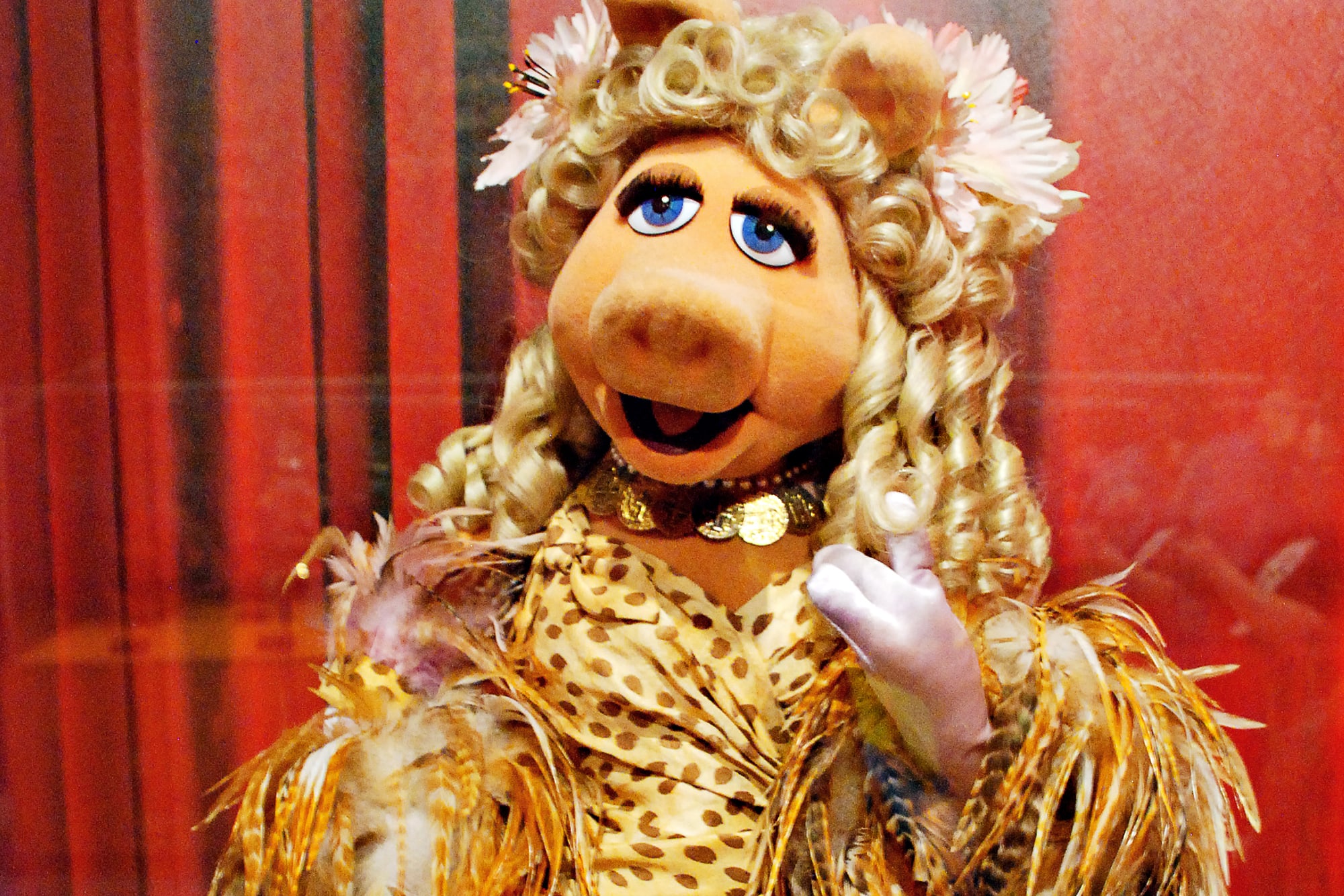 Miss Piggy sits behind glass looking glamorous, as part of the Jim Henson Collection at Worlds of Puppetry Museum in Atlanta, Georgia.