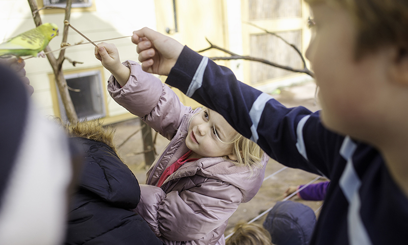 Kids feeding a bird at Zoo Atlanta.