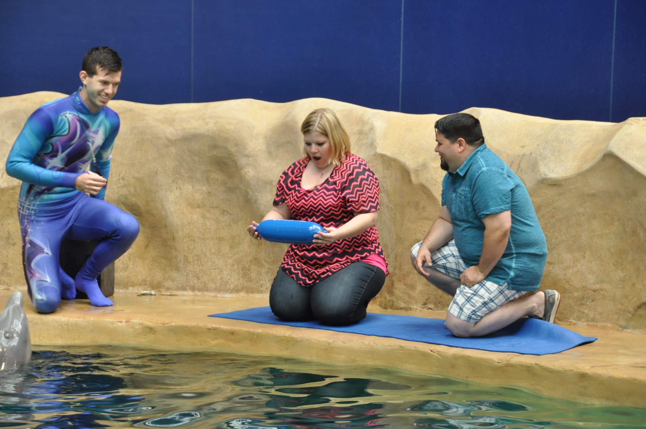 Fall in love at sea with a proposal at Georgia Aquarium