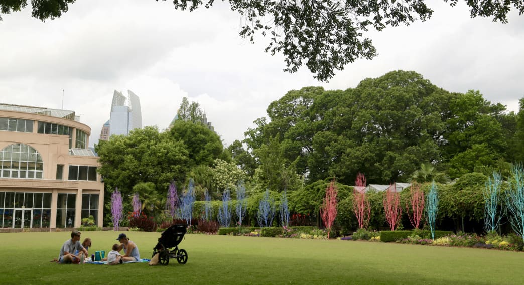 image of picnic at the Atlanta Botanical Garden