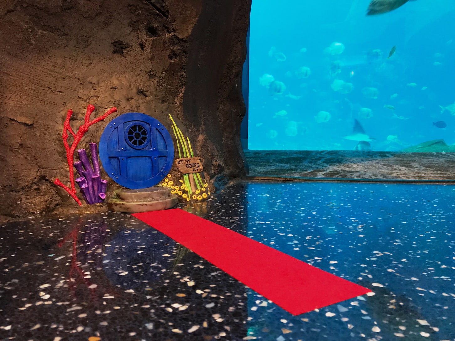 Tiny Door at Georgia Aquarium