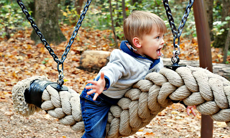 Swing and slide in the trees at Dunwoody Nature Center