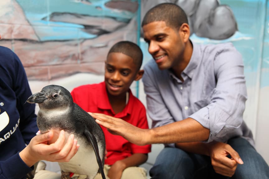 A family enjoys a close encounter with a penguin at an aquarium in Atlanta, Georgia.