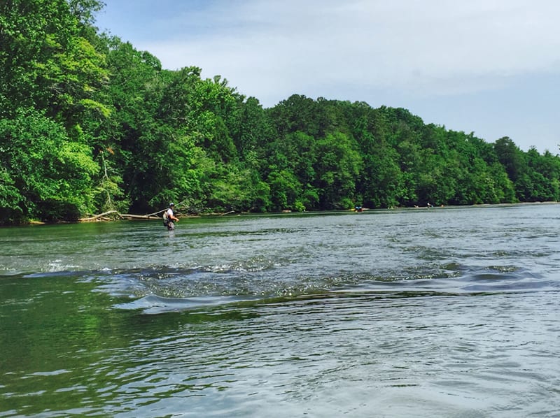 A person stands knee-deep in a calm river, surrounded by lush green trees and foliage in Atlanta, Georgia.