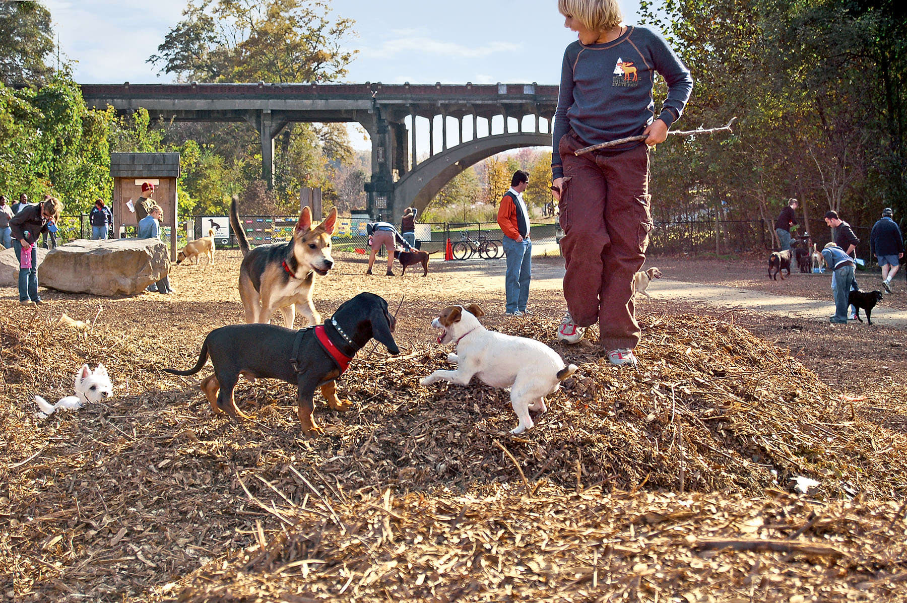 A woman walks her dogs in a park filled with other dogs playing on mulch and rocks in Atlanta, Georgia.
