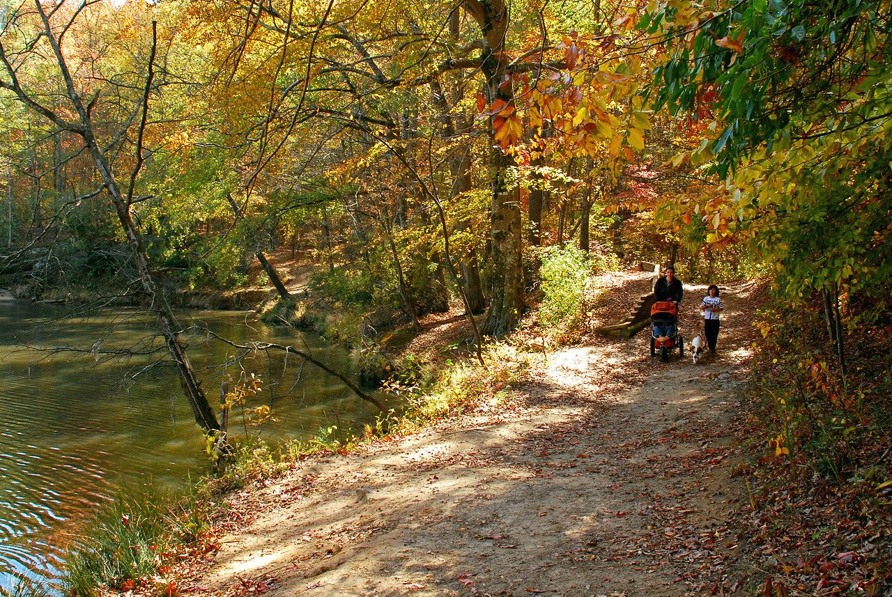 Sweetwater Creek State Park