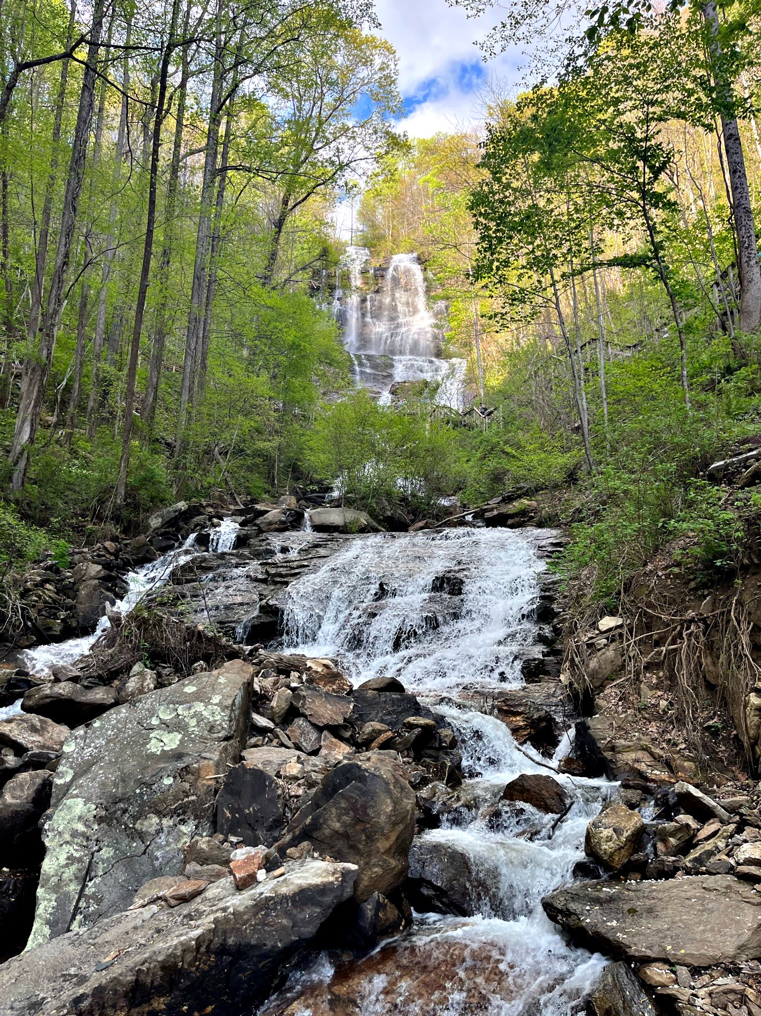 A cascading waterfall flows through a lush, green forest with rocky terrain in Atlanta, Georgia.