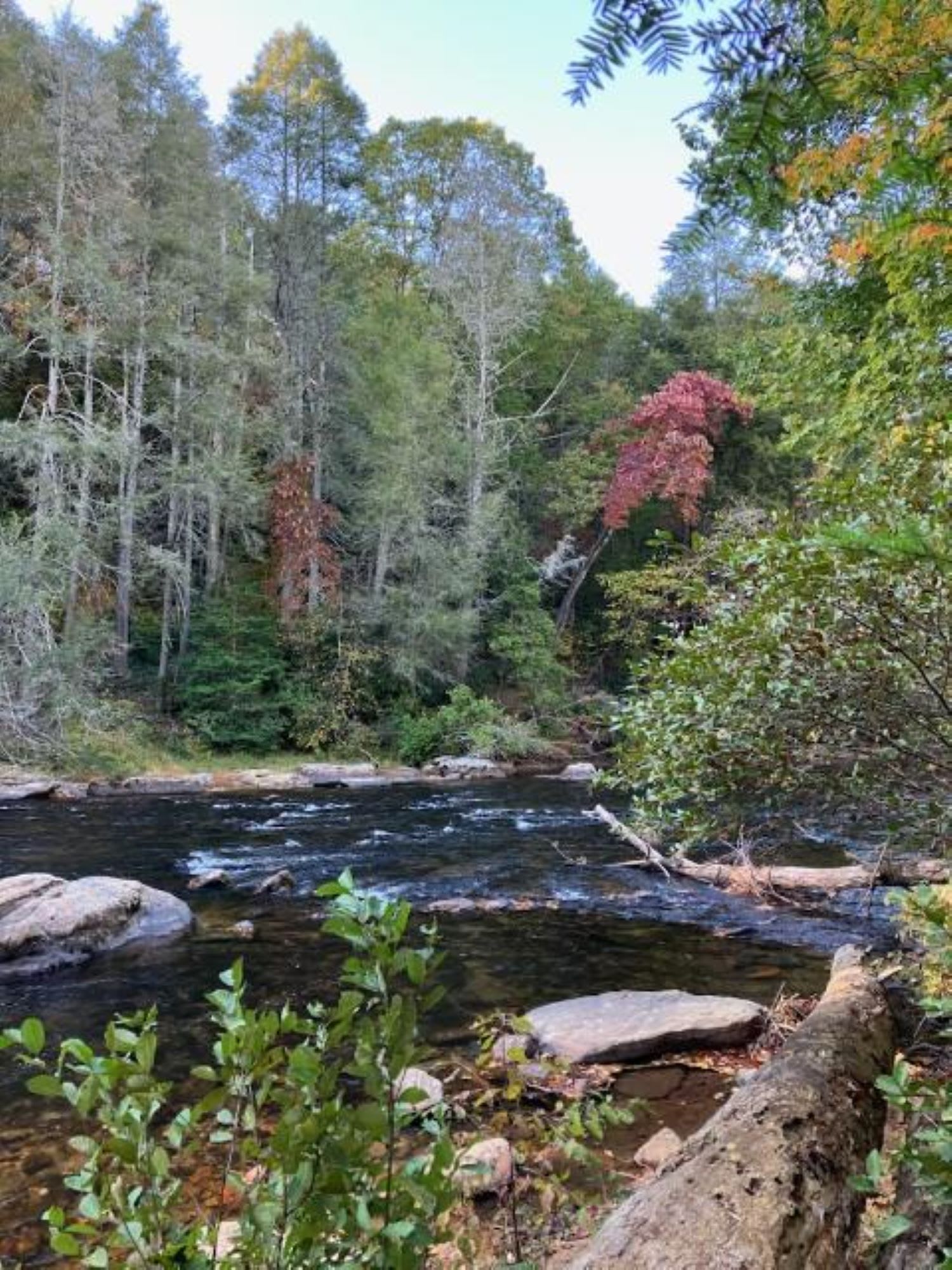 A serene autumn river winds through a lush forest with colorful foliage in Atlanta, Georgia.