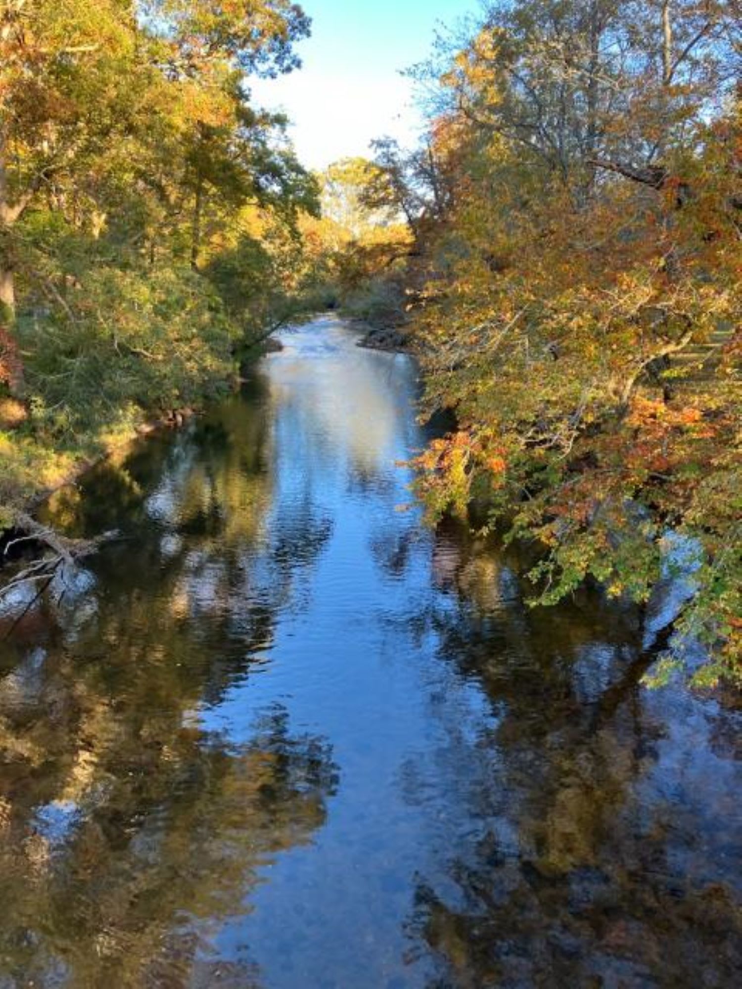 A serene autumn river winds through a forest of colorful trees reflecting in the water in Atlanta, Georgia.