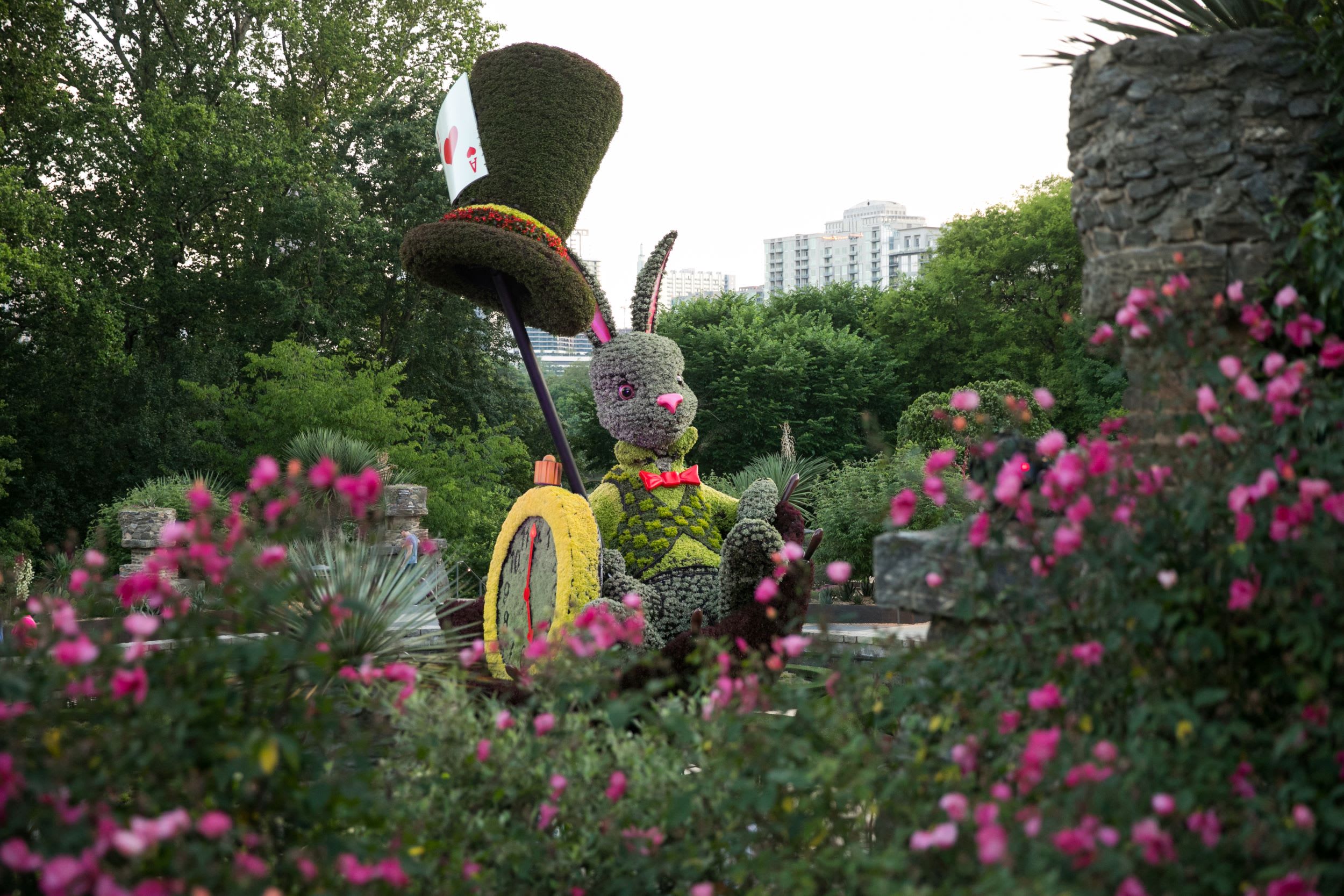 A whimsical topiary sculpture of a rabbit wearing a top hat and bow tie sits amidst vibrant pink flowers in Atlanta, Georgia.