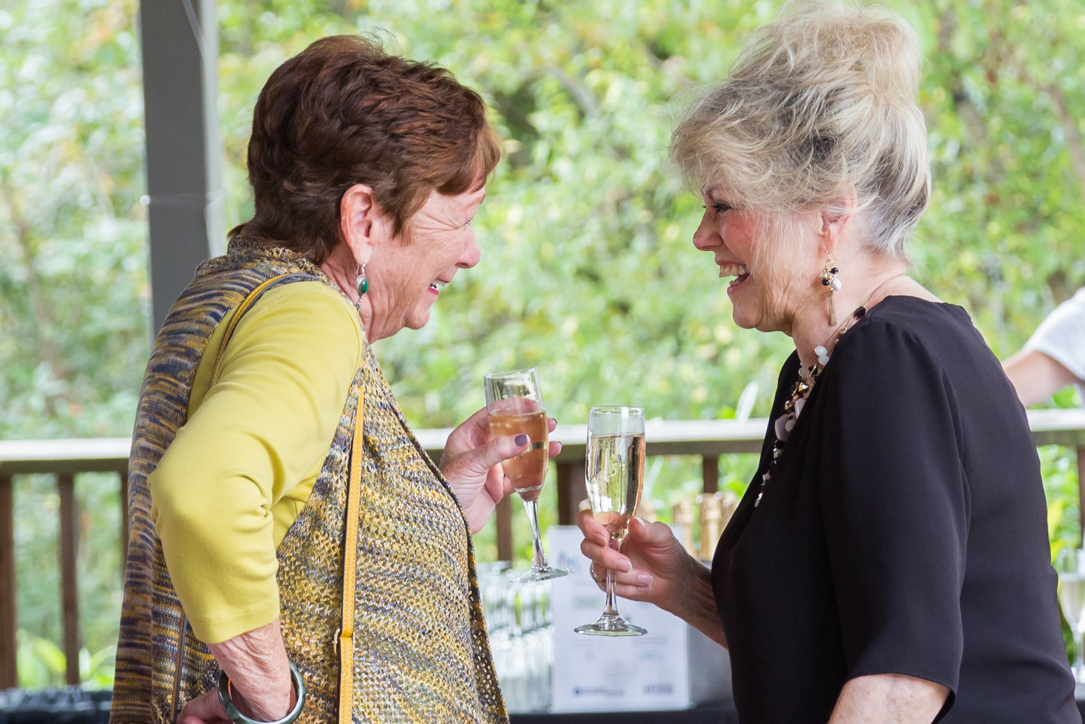 Wine and dine for a good cause at the 9th Annual Harvest on the Hooch