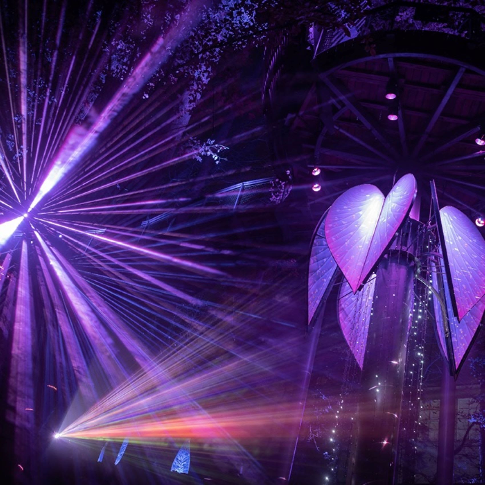 A vibrant purple laser light show illuminates a dark forest with heart-shaped structures in Atlanta, Georgia.