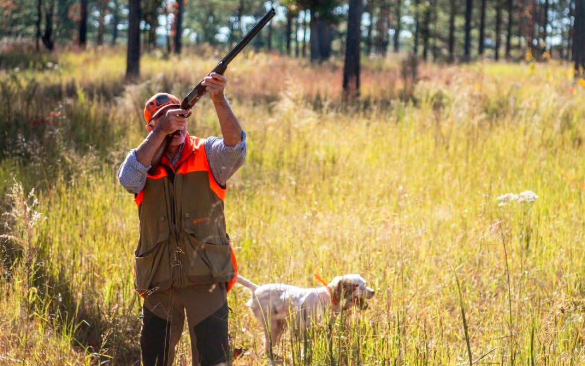 A hunter in an orange vest aims a shotgun in a grassy field with a dog nearby in Atlanta, Georgia.