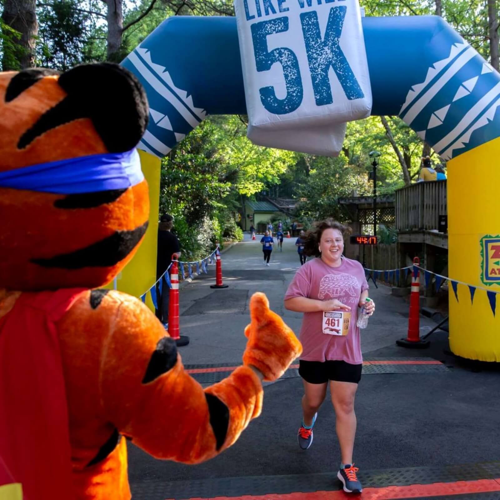 A woman runner high-fives a tiger mascot at the finish line of a 5K race in Atlanta, Georgia.