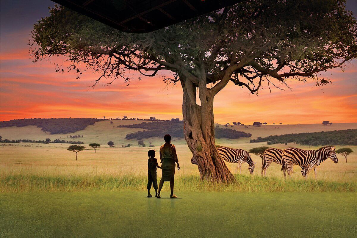 Two figures stand under a large tree, watching zebras graze in a vast savanna at sunset in Atlanta, Georgia.