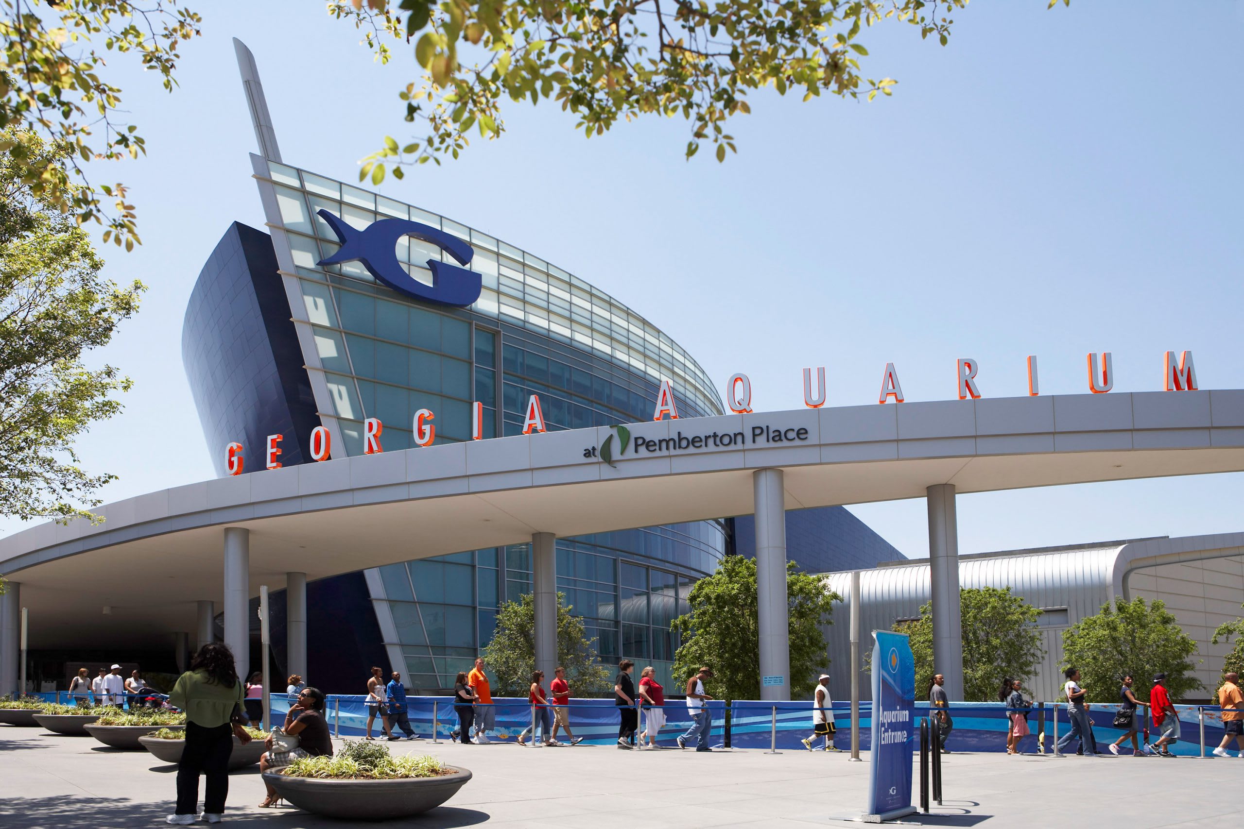 5 Razones para Visitar el Acuario de Georgia en Atlanta - Discover Atlanta